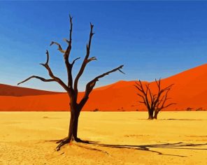 Africa Kalahari Desert Paint By Numbers