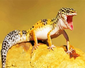 Leopard gecko Paint By Numbers