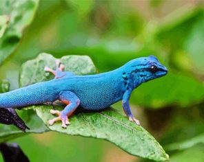 Blue Reptile Paint By Numbers