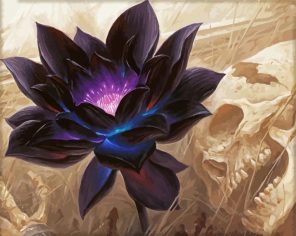 Purple Lotus Paint By Numbers