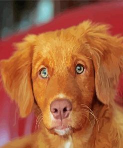 Brown Toller Paint By Numbers