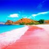 Pink Beach Paint By Numbers