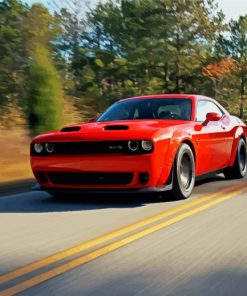 Red Challenger Paint By Numbers