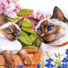 Cute Kittens Paint By Numbers