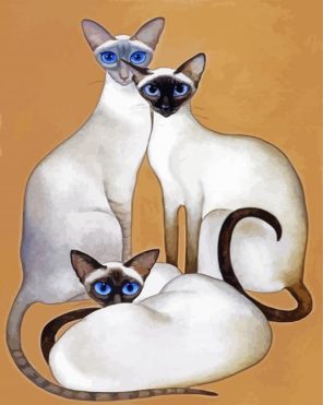 Siamese Kittens Paint By Numbers