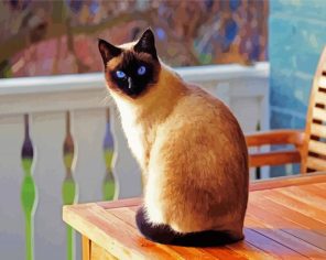 Siamese Kitty Paint By Numbers