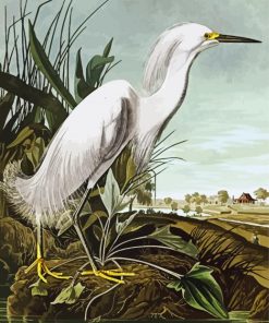 White Egret Paint By Numbers