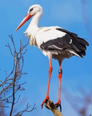 Stork Bird Paint By Numbers