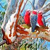 The Galah Cockatoo Paint By Numbers