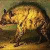 The Hyena Paint By Numbers