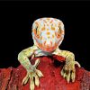 Tokay Lizard Paint By Numbers