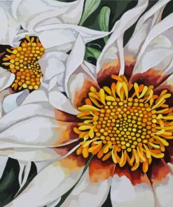 Aesthetic White Gazania Paint By Numbers