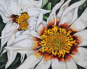 Aesthetic White Gazania Paint By Numbers