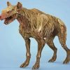 Zombie Hyena Paint By Numbers