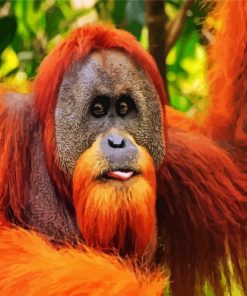 Aesthetic Orangutan Paint By Numbers