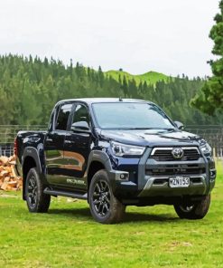 Aesthetic Black Utes Paint By Numbers