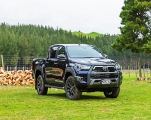 Aesthetic Black Utes Paint By Numbers