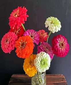 Colorful Zinnias Paint By Numbers