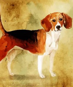 Beagle Puppy Paint By Numbers