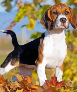 Puppy On FallLeaves Paint By Numbers