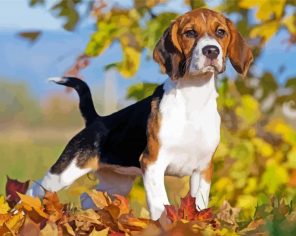 Puppy On FallLeaves Paint By Numbers