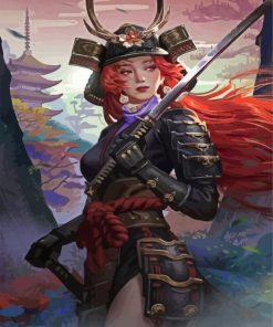 Samurai Girl Paint By Numbers