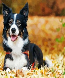 Black And White Puppy Paint By Numbers