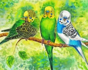 Artistic Birds Paint By Numbers