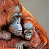 Cute Orangutans Paint By Numbers