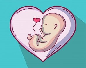 Cute Unborn Paint By Numbers