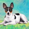 Cute Rat terrier Paint By Numbers