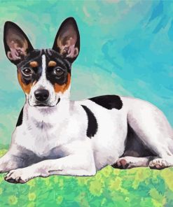 Cute Rat terrier Paint By Numbers