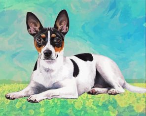 Cute Rat terrier Paint By Numbers