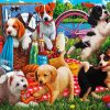 Puppies Having Fun Paint By Numbers