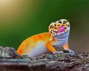 Gecko Lizard Paint By Numbers