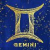 Gemini Zodiac Paint By Numbers