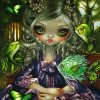 Jasmine Becket Paint By Numbers