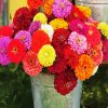 Zinnias In Jug Paint By Numbers