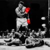 Mohammed Ali Art Paint By Numbers