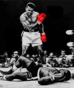 Mohammed Ali Art Paint By Numbers