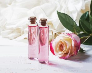 Pink Glass Bottles Paint By Numbers