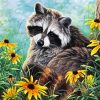 Raccoon Paint By Numbers