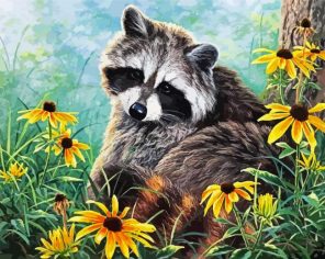 Raccoon Paint By Numbers