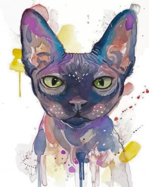 Colorful Cat Paint By Numbers