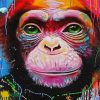 Colord Monkey Paint By Numbers