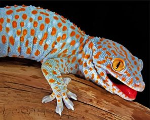 Tokay Gecko Paint By Numbers