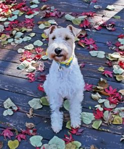 Fox Terrier Paint By Numbers