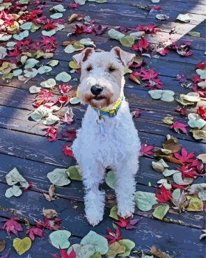 Fox Terrier Paint By Numbers