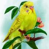 Yellow Bird Paint By Numbers