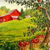 Apples Garden Paint By Numbers